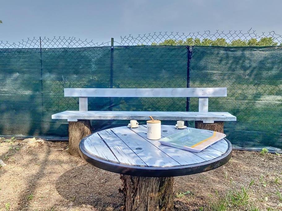 Les Penates Du Pastel - Jardin & Terrasse Apartment Villefranche-de-Lauragais Bagian luar foto
